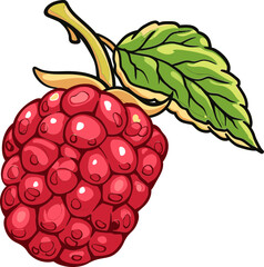 Mulberry Marvels Celebrating the Diversity and Delicacy of this Superfruit