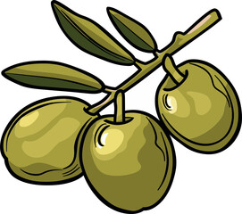 The Essence of EVOO Understanding Extra Virgin Olive Oil and its Fruit Origins