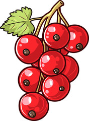 From Garden to Table The Art of Growing and Harvesting Red Currant Fruit