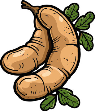 Tamarind Treasures Discovering the Gems of Sour Flavor