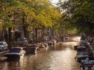 Golden Hour on Amsterdam Canal