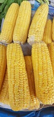 Fresh yellow corn cobs sold in traditional market Indonesia