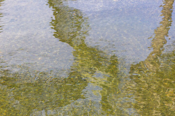 Water surface with reflection of trees in the lake. Abstract background.