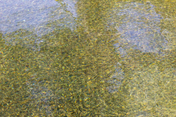 Water surface with reflection of trees in the lake. Abstract background.