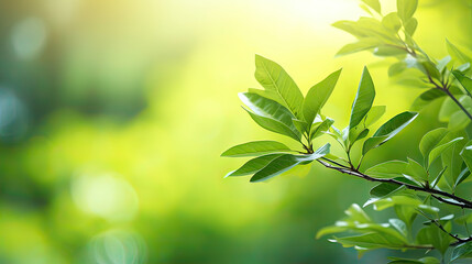 Obraz premium Nature green leaf background. Plant branch with green leaves on a bokeh background. Generative ai illustration.