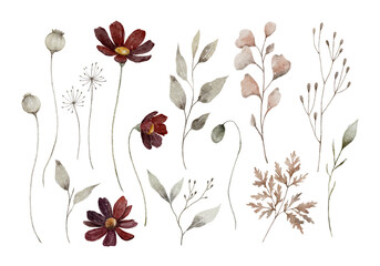 Beautiful Watercolor Pressed Flower Collection