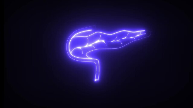 Neon pancreas. Pancreas has both endocrine and exocrine function. This produces so much alkaline fluid.