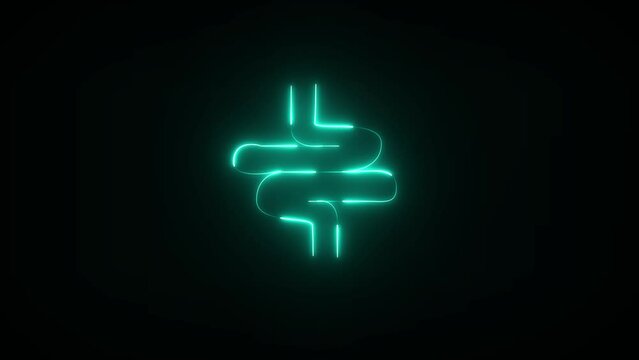 Small intestine is consisted of duodenum, jejunam and ileum. It is participated in digestion an absorption.