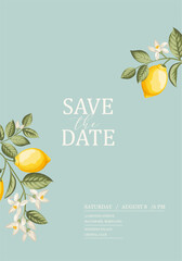 Wedding invitation. Lemon illustration. hand-drawn frame. - 744927635