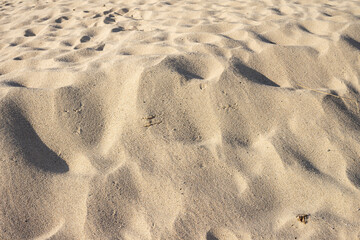 Sand texture. Summer background with sand dunes on the beach.