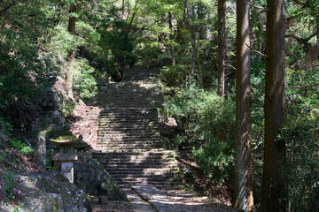 【鳳来寺山】鳳来寺への1000段を超える石段