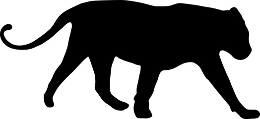 tiger silhouette in vector png. Can be used as a stencil or template for festive decorations, postcards, shop windows, logos, etc, transparent.