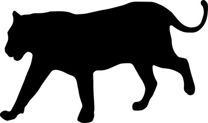 tiger silhouette in vector png. Can be used as a stencil or template for festive decorations, postcards, shop windows, logos, etc, transparent.