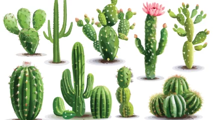 Glasbilder Kaktus Isolated cactus plant vector design isolated on white
