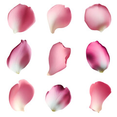 Set of 9 pink rose petals on a white background or transparent, Generative AI