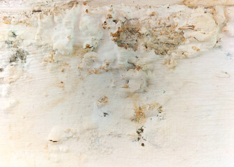 Closeup view of texture of peeling,weathered and damage concrete wall painted color. Abstract. Background. Selective focus. 
