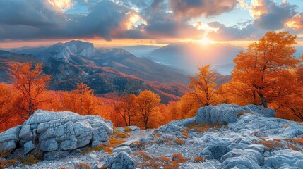 In the very heart of the Ukrainian Carpathians, a charming autumn forest reveals its splendor. - obrazy, fototapety, plakaty