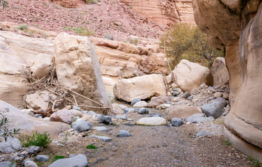 Narrow channel for stream in gorge Wadi Al Ghuwayr or An Nakhil and wadi Al Dathneh near Amman in...
