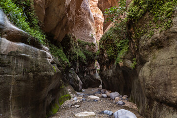 Fototapeta na wymiar Extensive greenery grows on mountainsides on both sides of the shallow stream in the gorge Wadi Al Ghuwayr or An Nakhil and the wadi Al Dathneh near Amman in Jordan