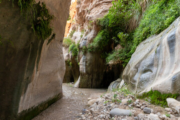 Obraz premium Extensive greenery grows on mountainsides on both sides of shallow stream in gorge Wadi Al Ghuwayr or An Nakhil and wadi Al Dathneh near Amman in Jordan