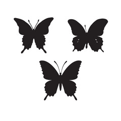 beautiful butterfly silhouette 