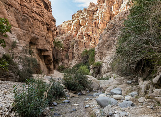 Extensive greenery and the date palms grows on the mountainsides in the gorge Wadi Al Ghuwayr or An Nakhil and the wadi Al Dathneh near Amman in Jordan