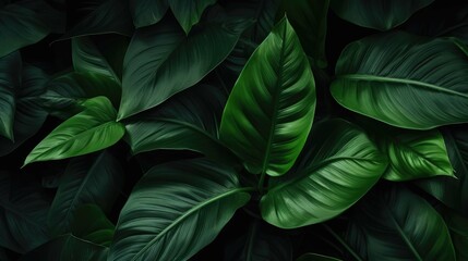 background of lush green leaves.jpeg