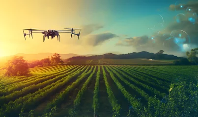Papier Peint photo hélicoptère drone flying on farmland at sunrise background