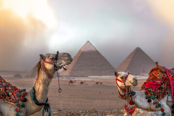 Great Pyramids - obrazy, fototapety, plakaty