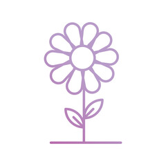 flower icon with white background vector stock illustration