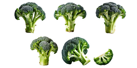 Collection of broccoli isolated on a white background as transparent PNG