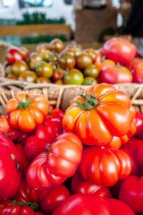 Colorful assortment of fresh organic heirloom tomatoes sitting on wooden table. High quality photo