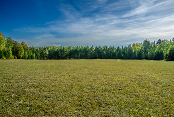 A field with mown grass near the forest. - obrazy, fototapety, plakaty