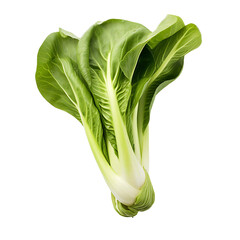 Transparent Bok Choy, Adding Vibrant Color to Graphic Compositions