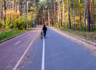 A woman with a dog on the road in the forest.