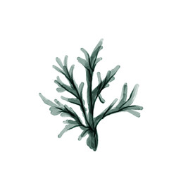 Coral fit for sea ocean poster