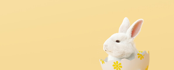 Easter bunny in eggshell on yellow background. 3d rendering