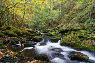 Landscape with stream and rocks in forest, Buchberger Leite, Bavaria, Germany
