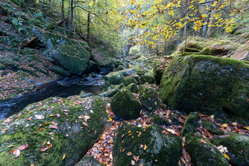Landscape with stream and rocks in forest, Buchberger Leite, Bavaria, Germany