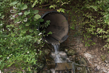 A sewage outlet in the weeds