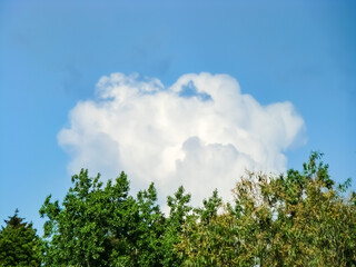 Obraz premium White cloud against the blue sky in early spring.