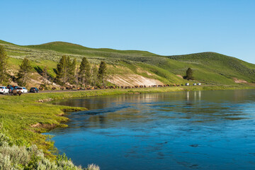Large herd of wild buffaloes is walking along the highway, obstructing traffic. Location is the Yellowstone National Park, Wyoming