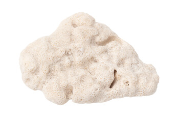 Coral stone isolated white background. Close-up