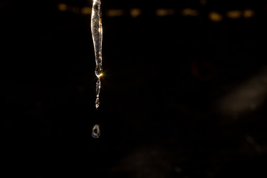 Spring sunny weather - a ray reflects off a melting icicle. A drop of water falls down in the sunset rays, close-up.