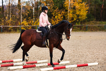 Horse with rider on the riding arena doing ground work with trotting poles.