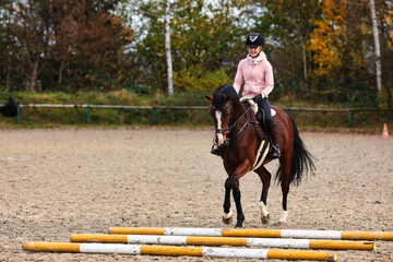 Horse with rider on the riding arena doing ground work with trotting poles.