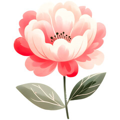 Watercolor peony flower clipart with transparent background