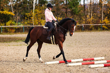 Horse with rider on the riding arena doing ground work with trotting poles.