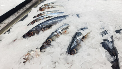 Fresh fish frozen in ice