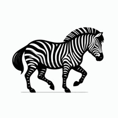 Fototapeta na wymiar zebra vector illustration isolated white background
